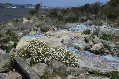 painted walkway, Albany Bulb