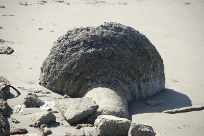 pillarin the sand, Albany Bulb