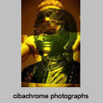 cibachrome photographs by collaborative artist Ira Lesser
