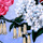 flower painting